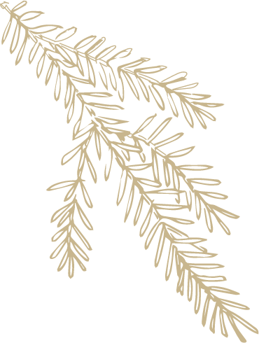 feuillage