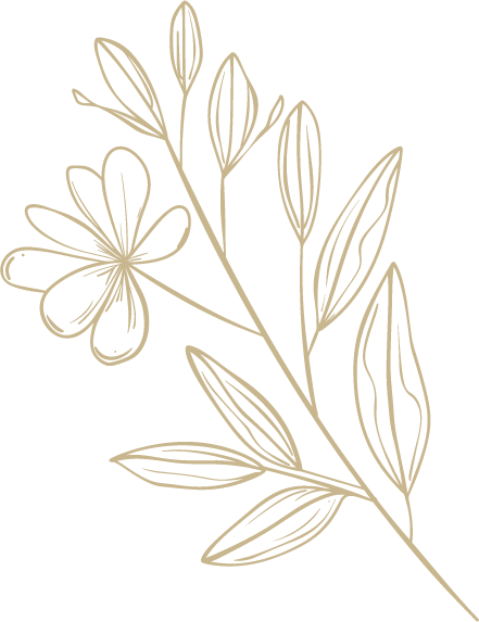 fleur jura maron