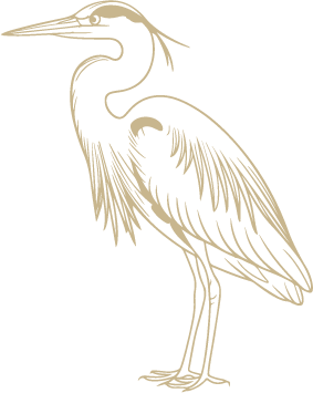 heron
