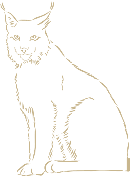 lynx haut jura