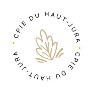 macaron