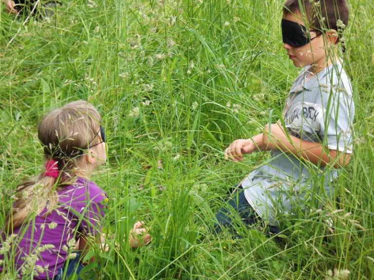 nature st lup 2011-12 (2)