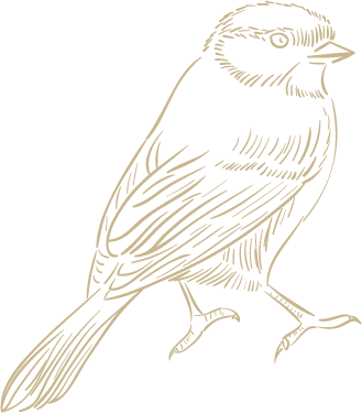 oiseau
