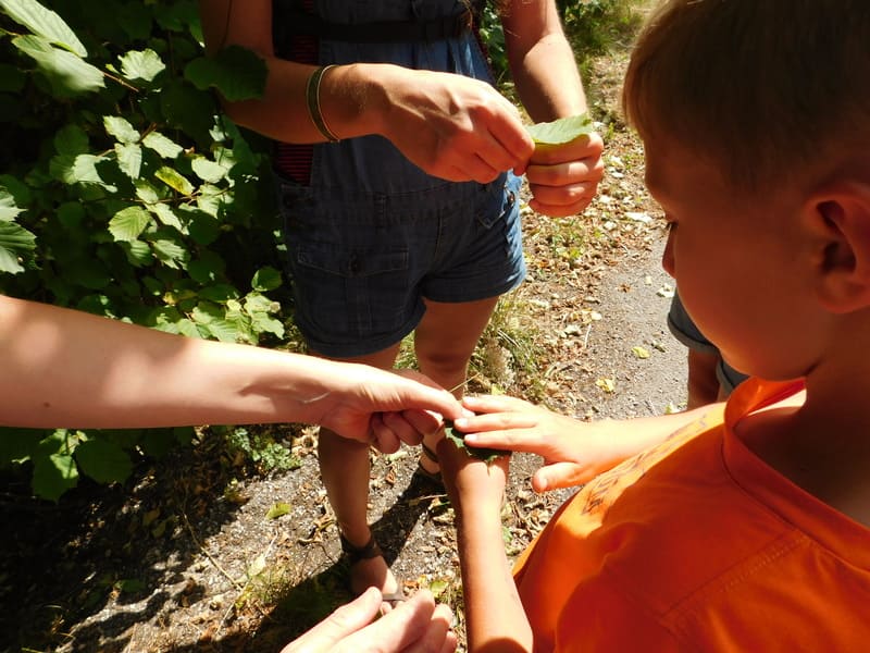 eveil nature enfants haut jura