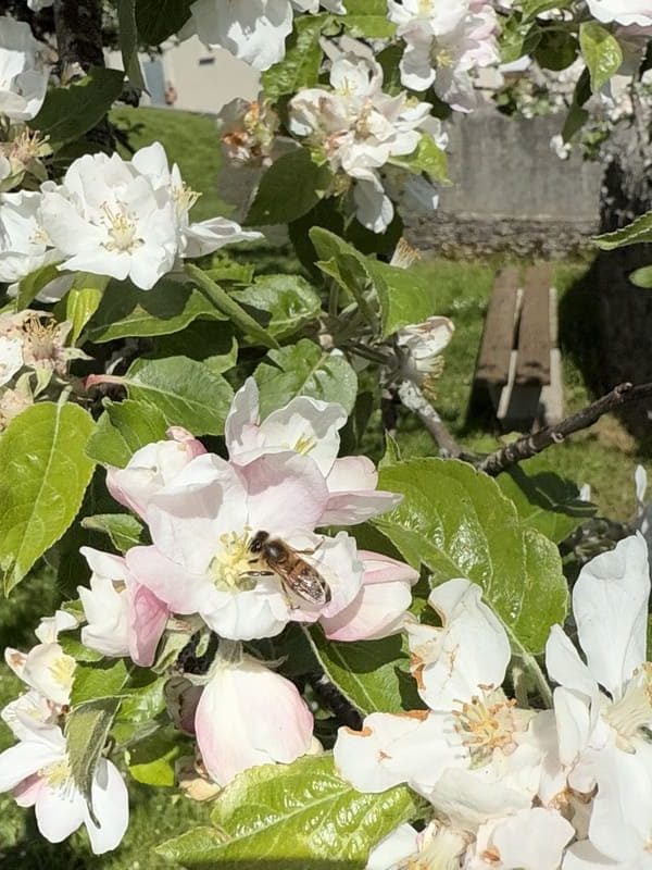 image00010
