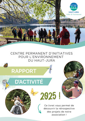 rapport d'activite 2025 1