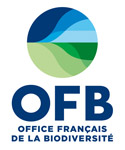 logo ofb actualite