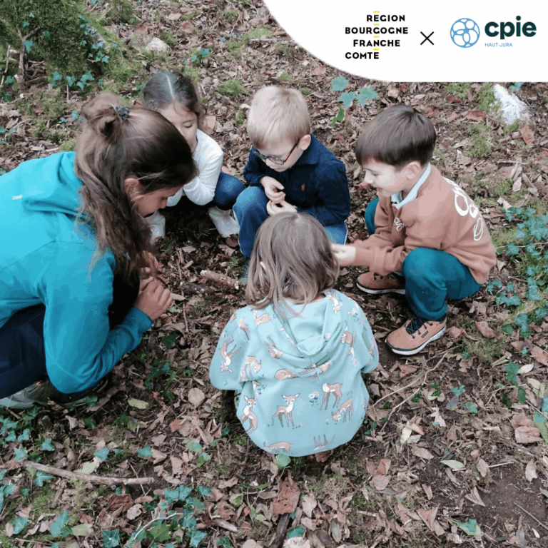 Animation enfants forêt