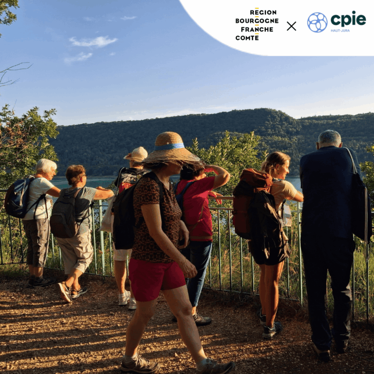 Groupe adulte paysage