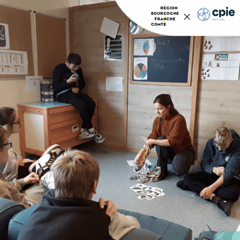 Animation alimentation