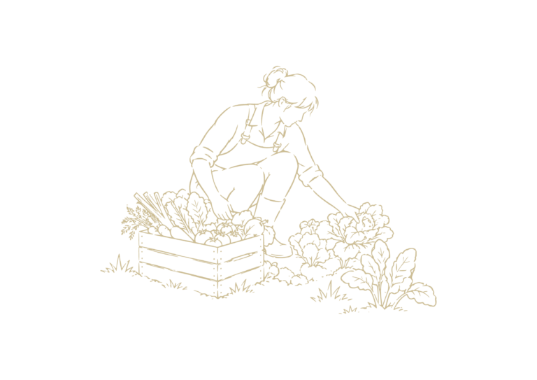 alimentation