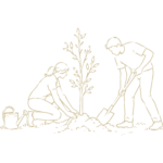 une femme et un homme plantent un arbre